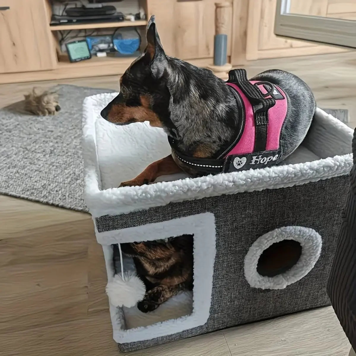 A Cat Bed Suitable for Indoor Cats, with a Large Cat Hole for a Comfortable Apartment, Fluffy Hanging Balls, round Windows, a Foldable Indoor Cat House, Capable of Bearing up to 30 Pounds , with Double-Sided Soft Cushions, Suitable for All Seasons Home