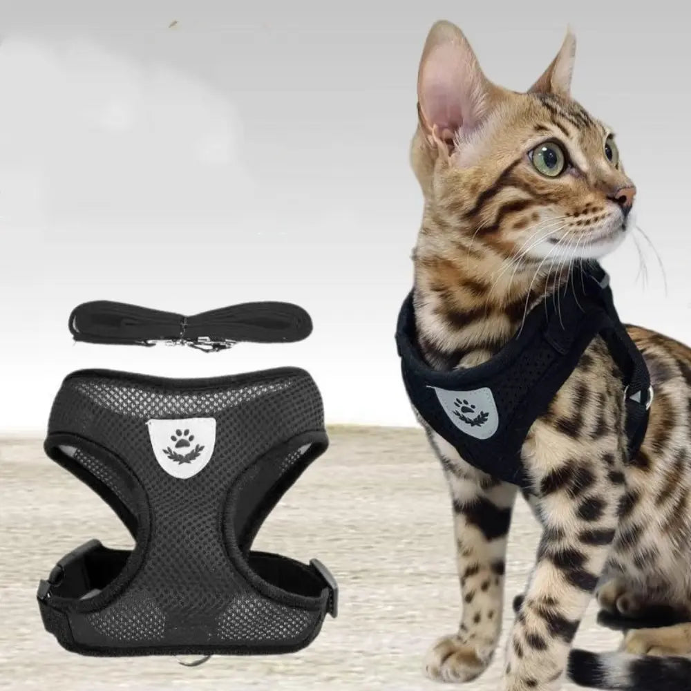 New Pet Dog Cat Harness, Outdoor Leash Collar, Reflective Harness, Anti-Shock Safety Gear, Small Size, Ideal for Dogs & Cats, Universal Harness, Qys Model