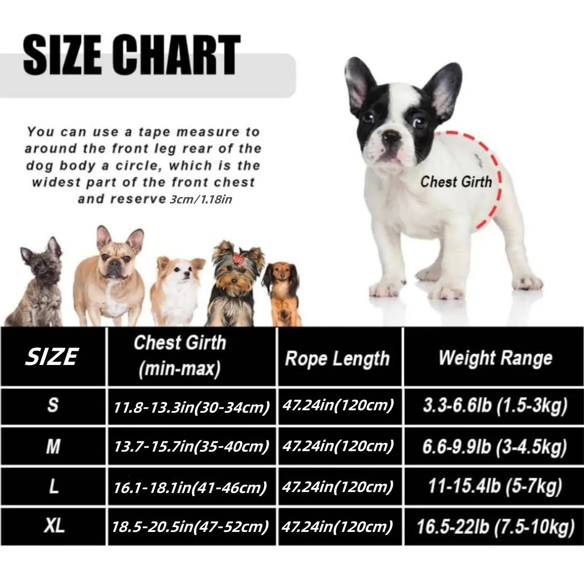 New Pet Dog Cat Harness, Outdoor Leash Collar, Reflective Harness, Anti-Shock Safety Gear, Small Size, Ideal for Dogs & Cats, Universal Harness, Qys Model