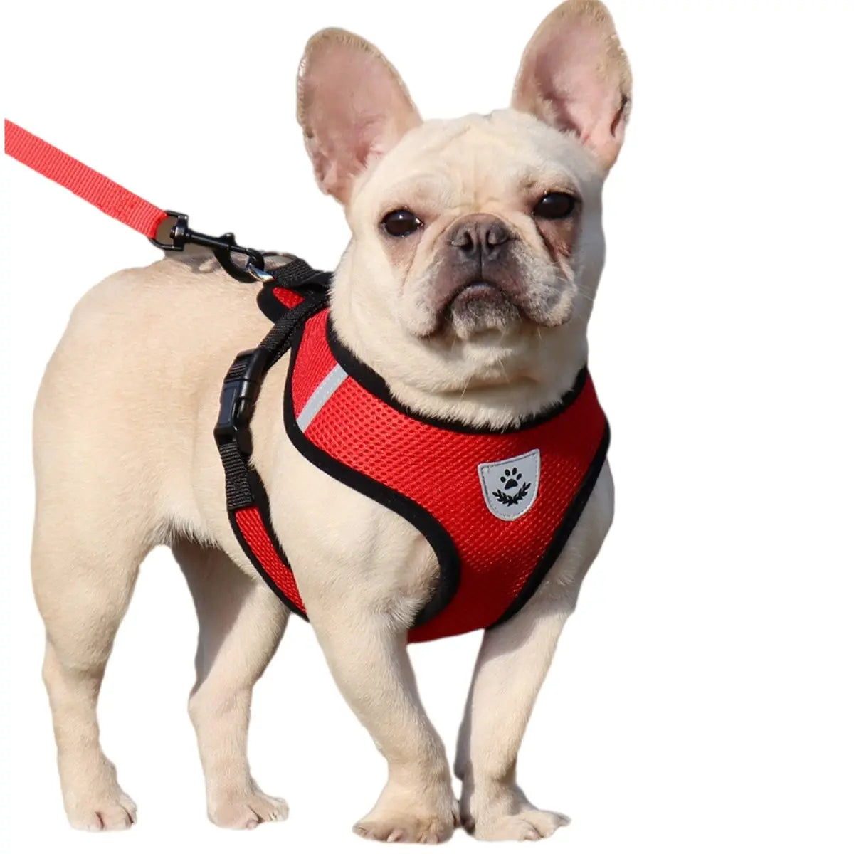 New Pet Dog Cat Harness, Outdoor Leash Collar, Reflective Harness, Anti-Shock Safety Gear, Small Size, Ideal for Dogs & Cats, Universal Harness, Qys Model